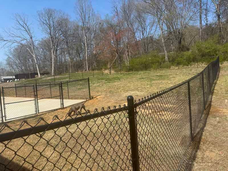 Chain-link fence beside a tennis court on a grassy slope with bare trees in the background