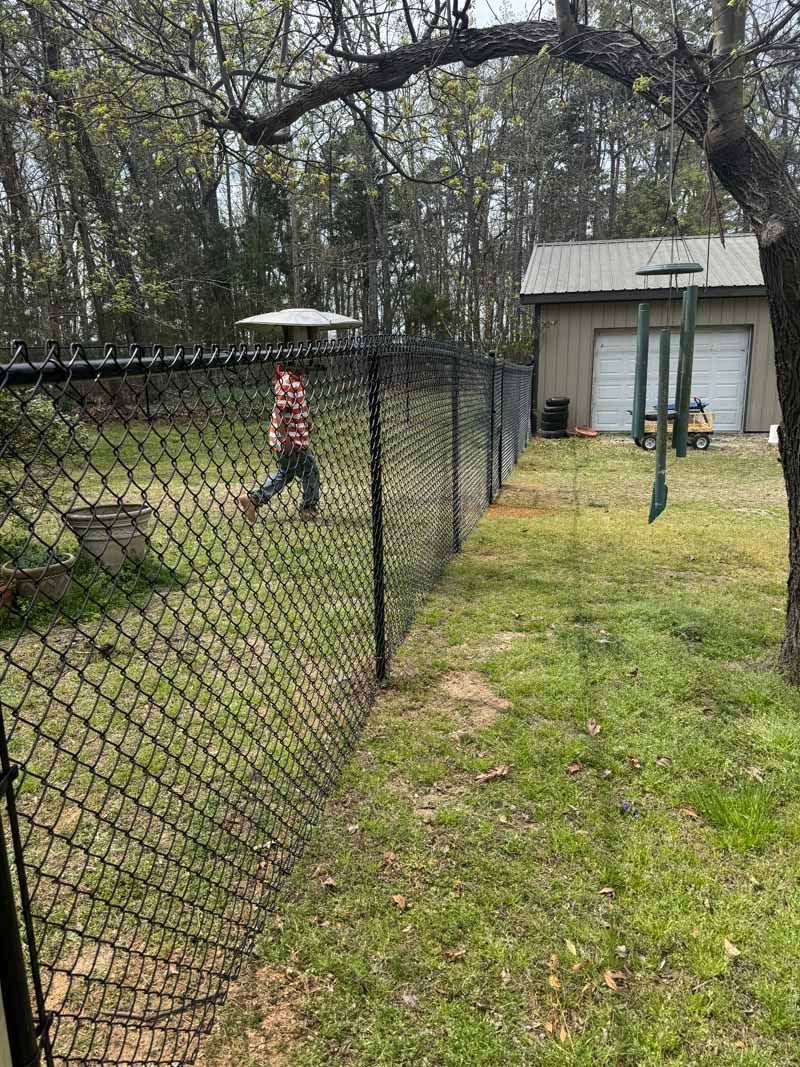 Person walking by a chain-link fence in a grassy yard near a small shed and trees
