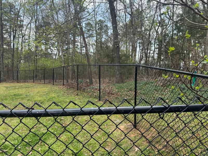 Chain-link fence in the foreground with a wooded area and tall trees behind it.