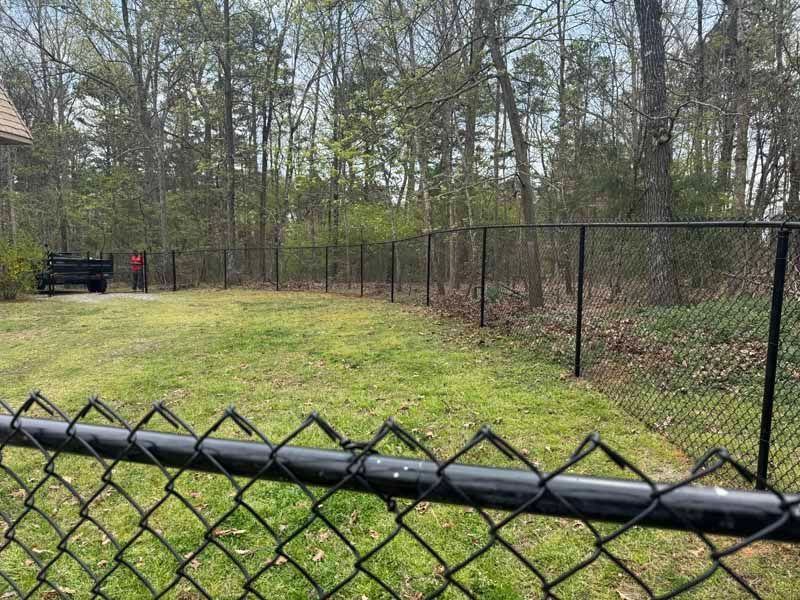 Chain-link fence enclosing a grassy yard with trees beyond and a gate at left
