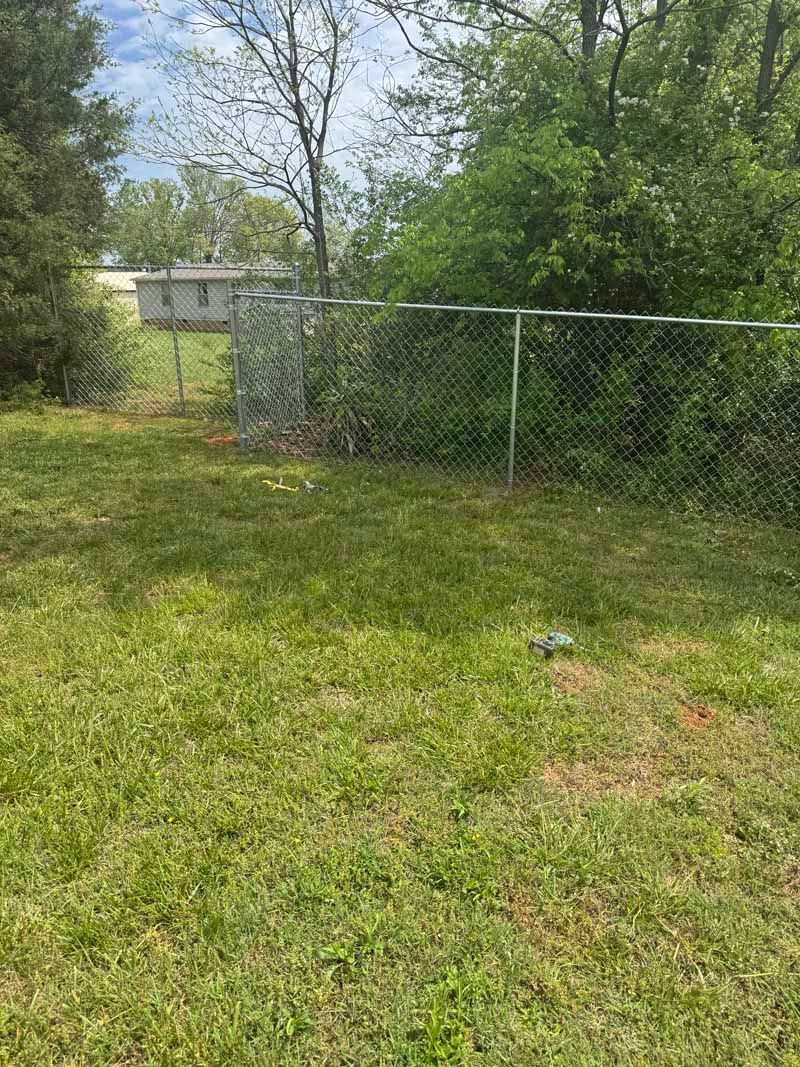 Grassy backyard with a chain-link fence and trees under a bright sky