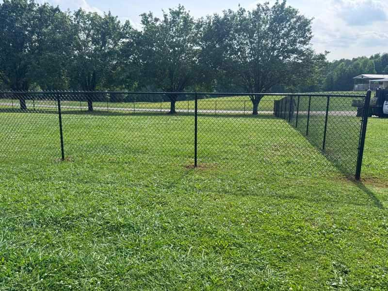Chain-link fenced grassy yard with trees in the background on a sunny day