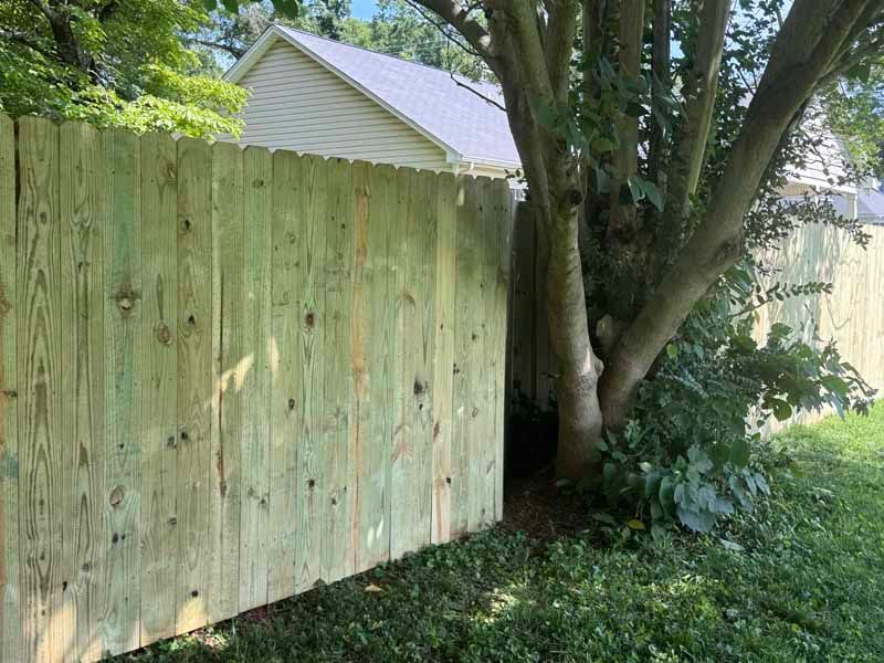 Wooden privacy fence beside a large tree in a grassy backyard, with a house visible behind it.