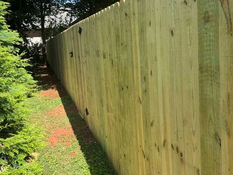Tall wooden privacy fence beside a narrow grassy path in a sunny yard