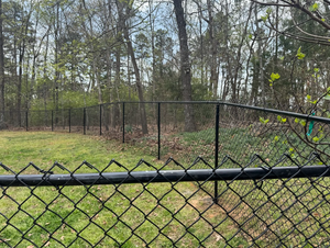 Chain-link fence around grassy yard with trees in the background