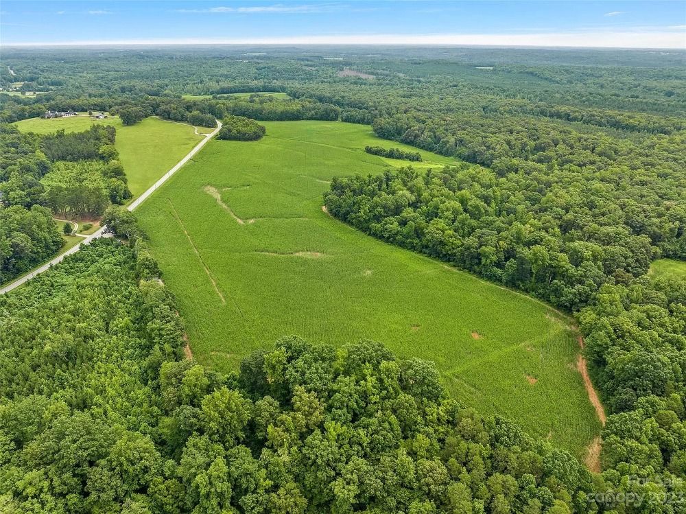 Aerial view of a green field surrounded by dense forest and a road, under a blue sky.