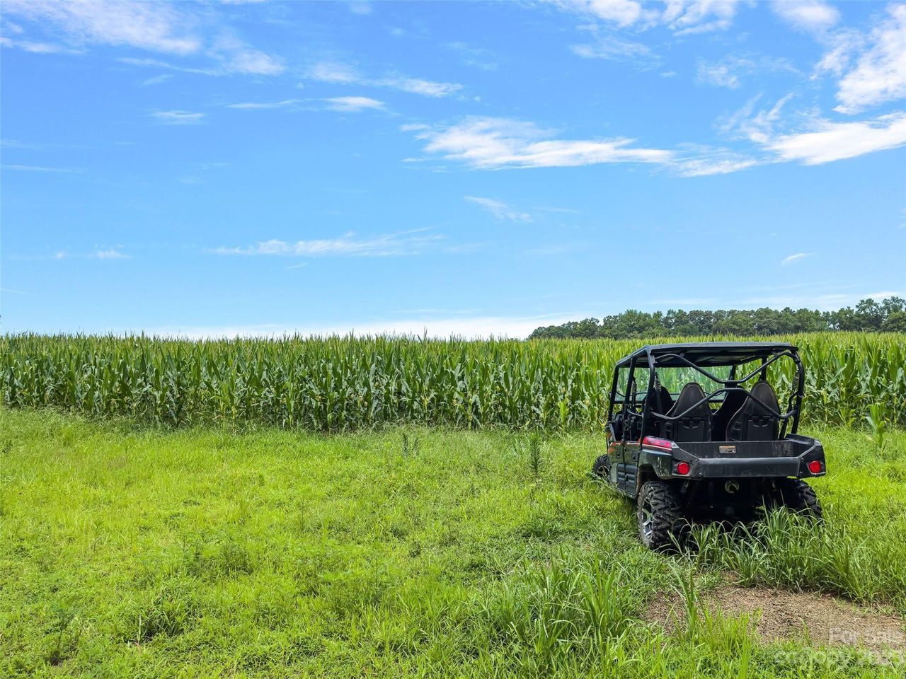 Side-by-side UTV parked in tall green grass next to a cornfield, under a bright blue sky.