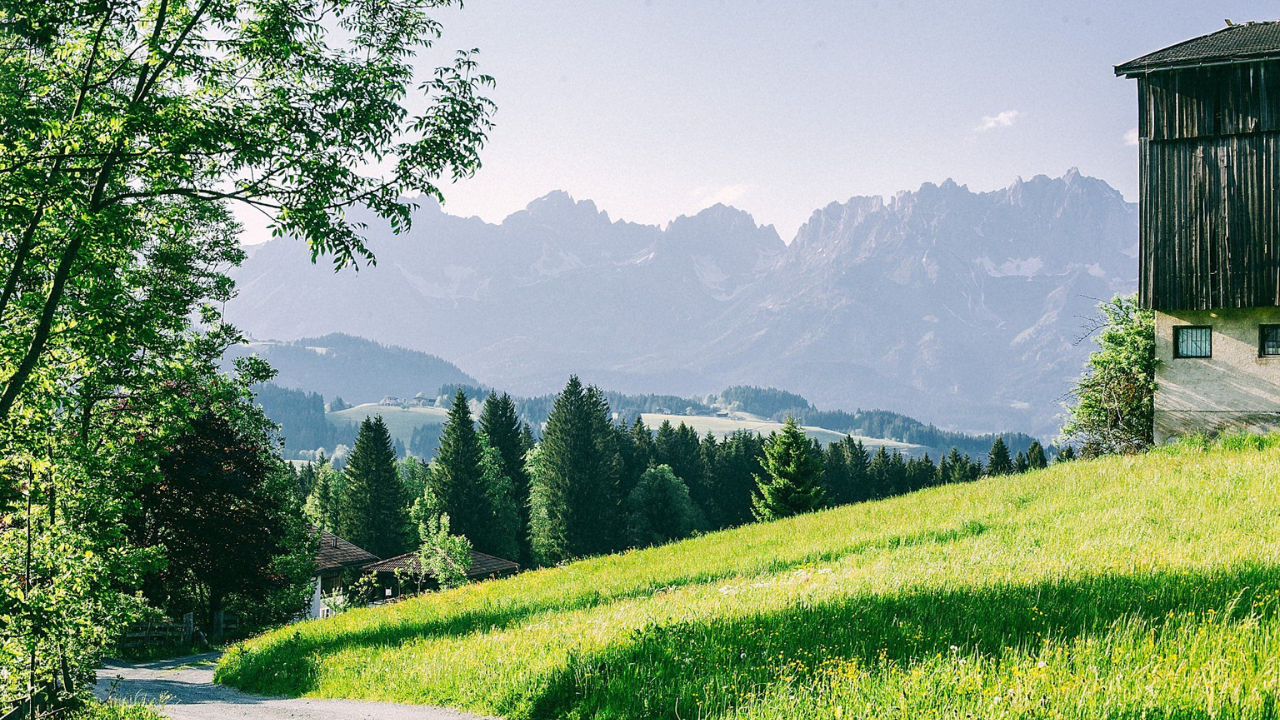 Green hillside with trees and mountains, building on right, sunny day.