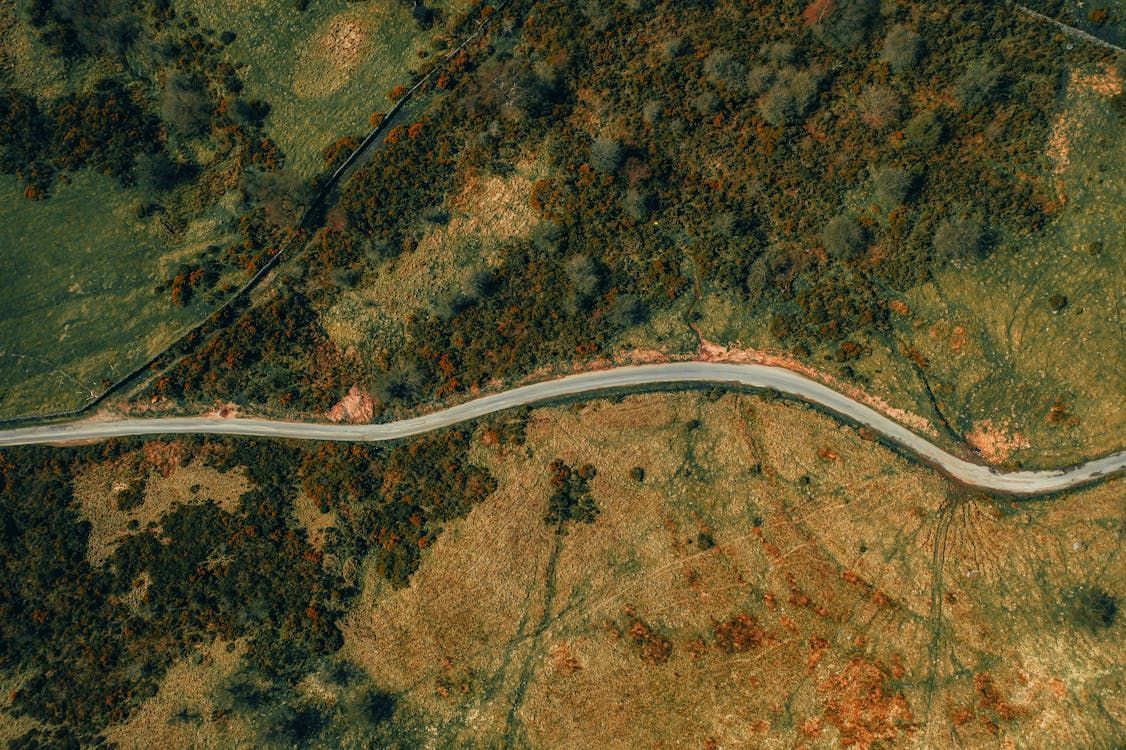Winding road through a green and brown hillside, seen from above.
