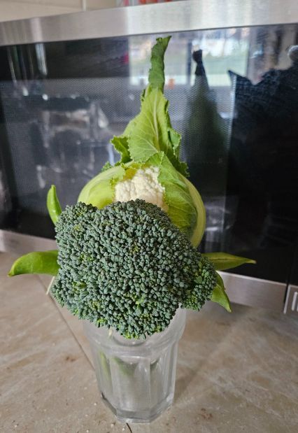 Broccoli and cauliflower are in a glass on a counter.