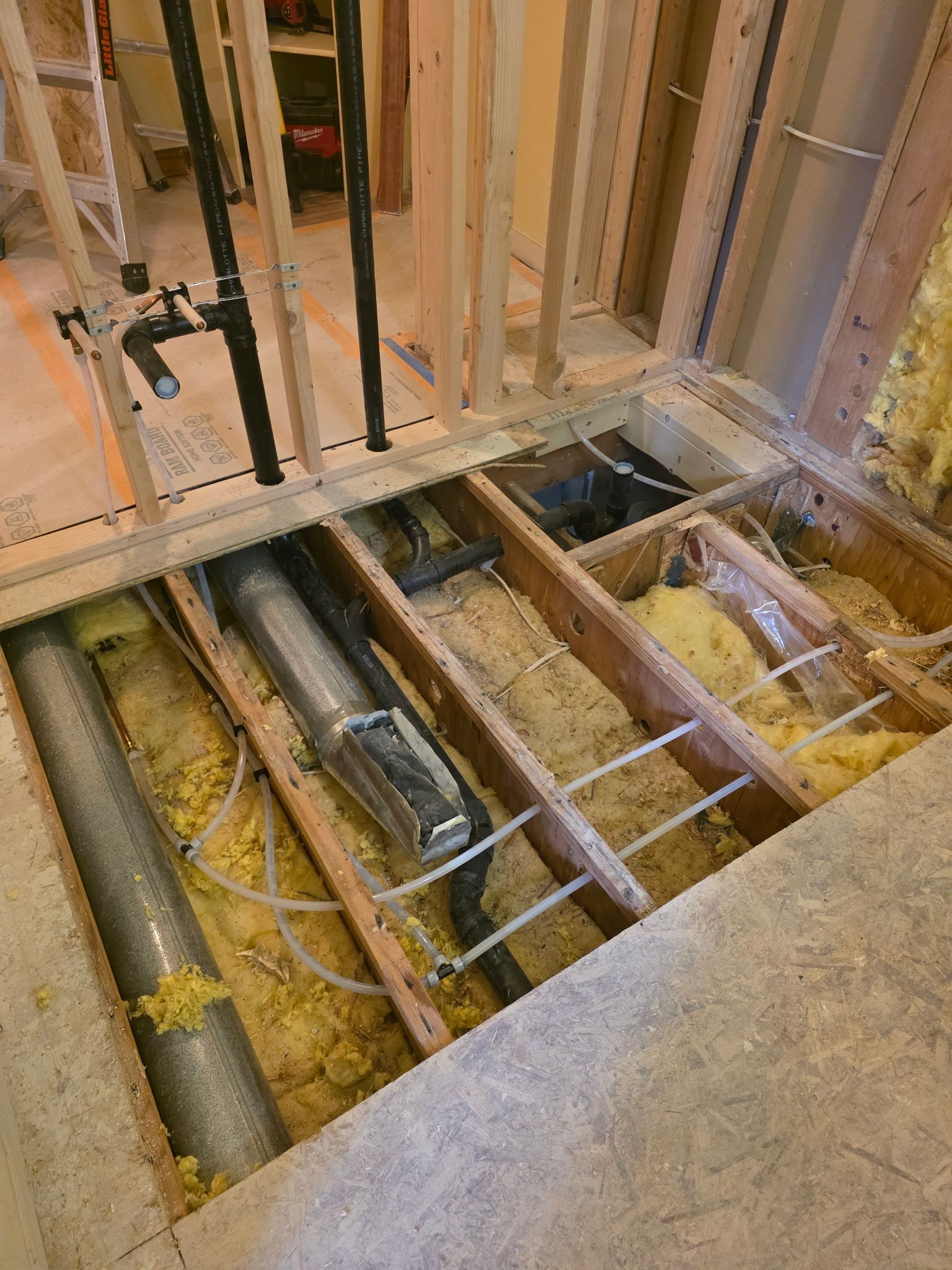 Kitsap shower during Remodel