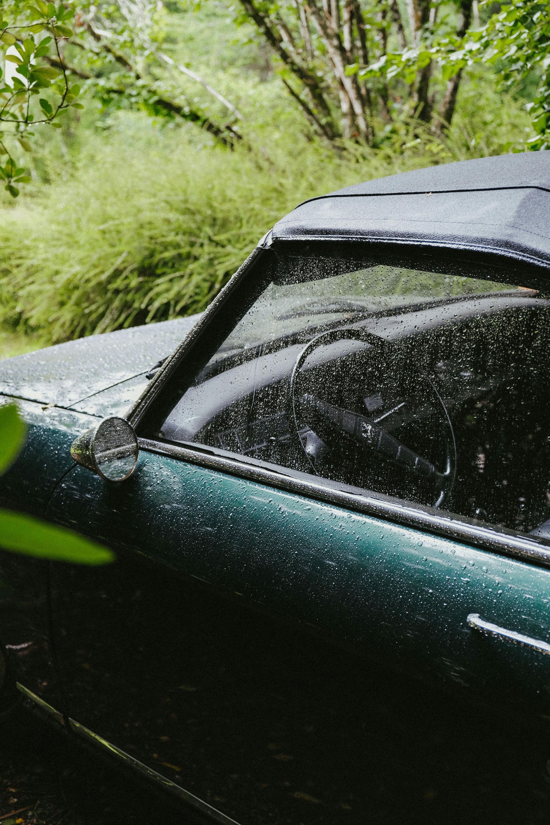 Green convertible car with rain droplets, parked amidst lush green vegetation.