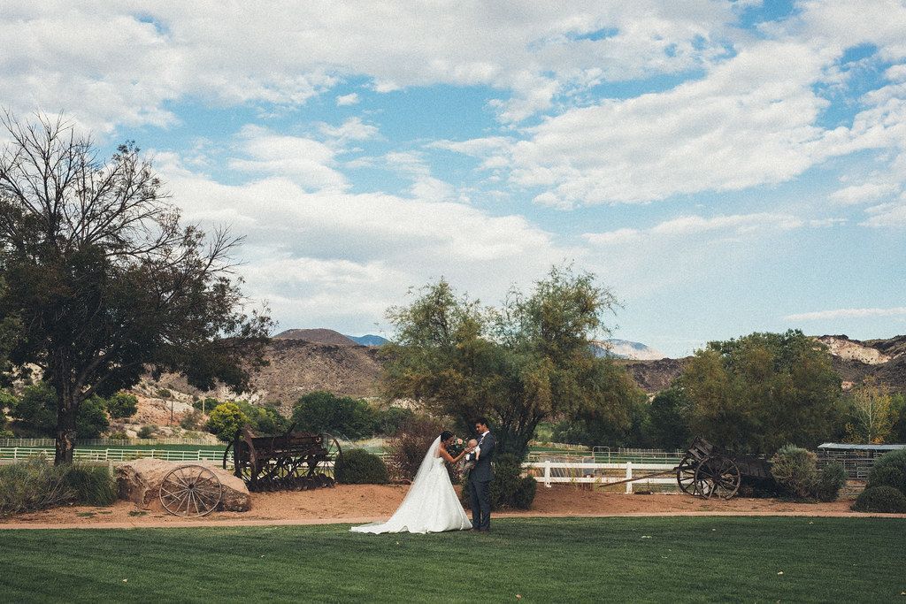 Bride in white dress standing in a park beside a tree, with grass, benches, and cloudy sky.