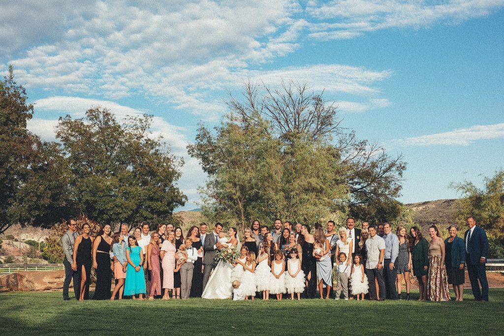 Large outdoor wedding group posed on a lawn under trees and a blue sky