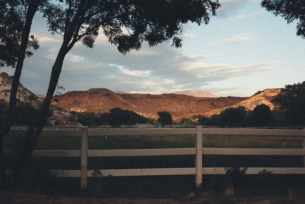 Sunlit hills beyond a white fence under a cloudy sky, framed by dark trees