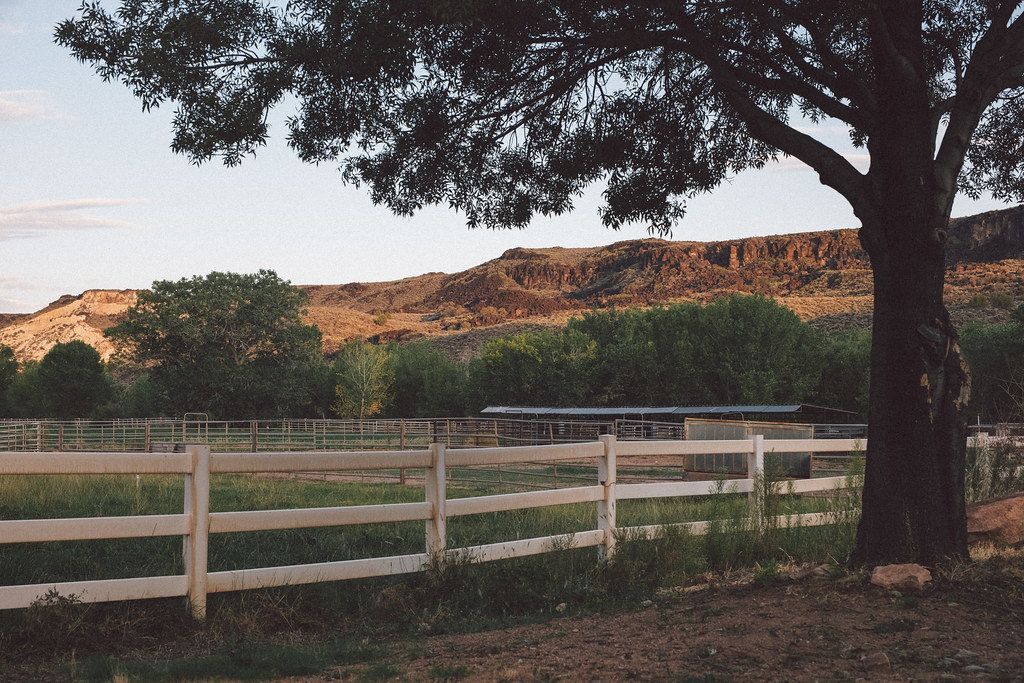 White fence under a large tree with hills in the background at sunset