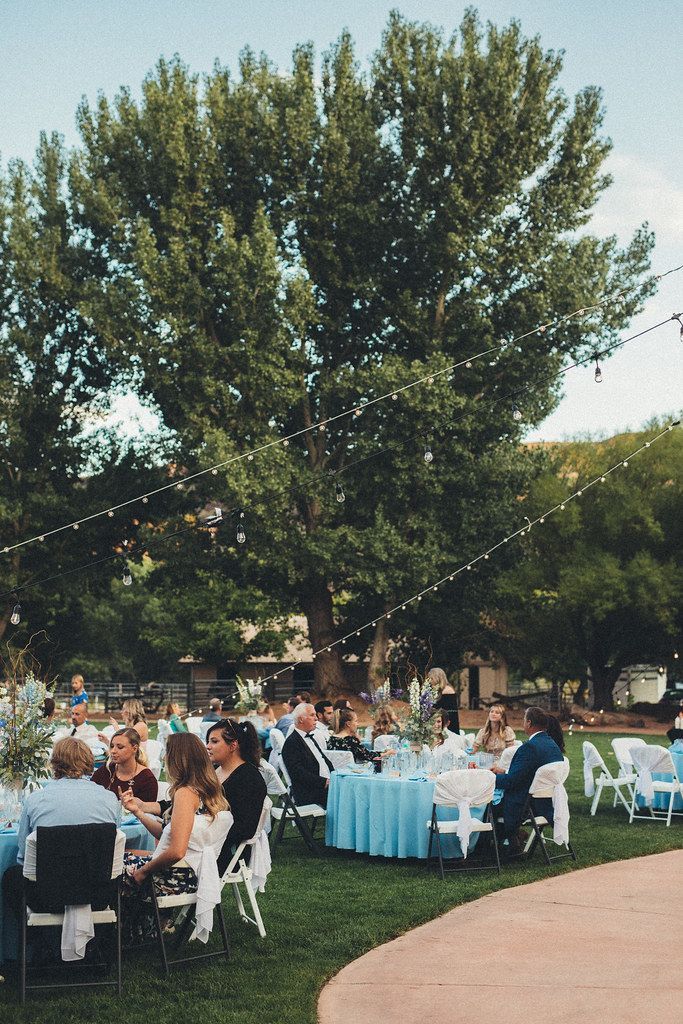 Outdoor wedding reception with guests seated at tables under a large tree in a grassy park