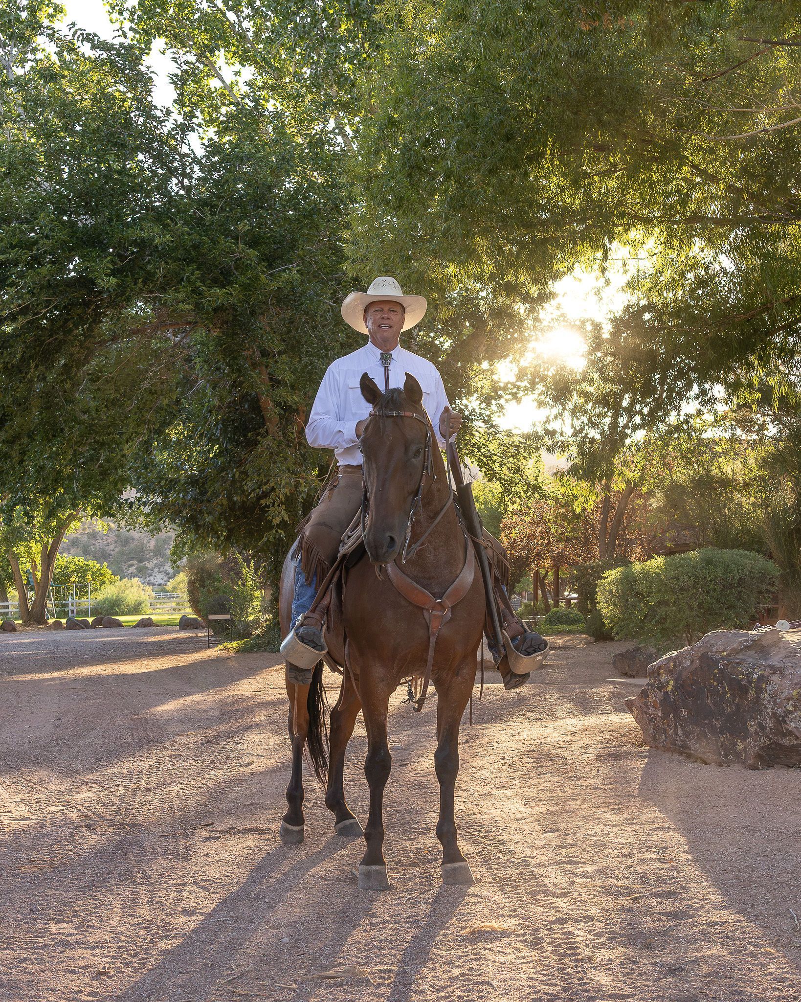 Rider on a brown horse in a grassy field, wearing a helmet and vest.