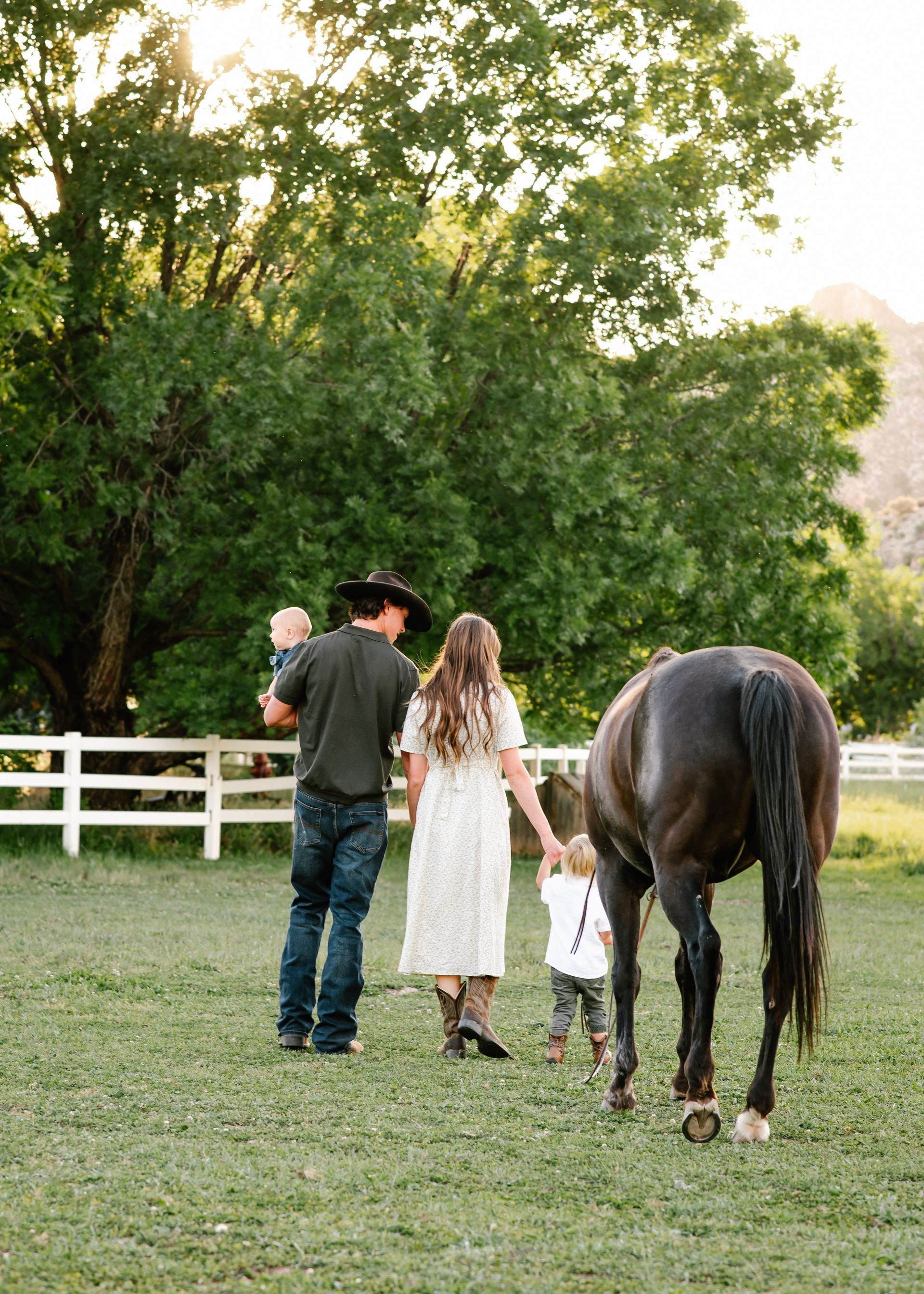 Three people walking away beside a black horse in a grassy paddock with white fencing and trees