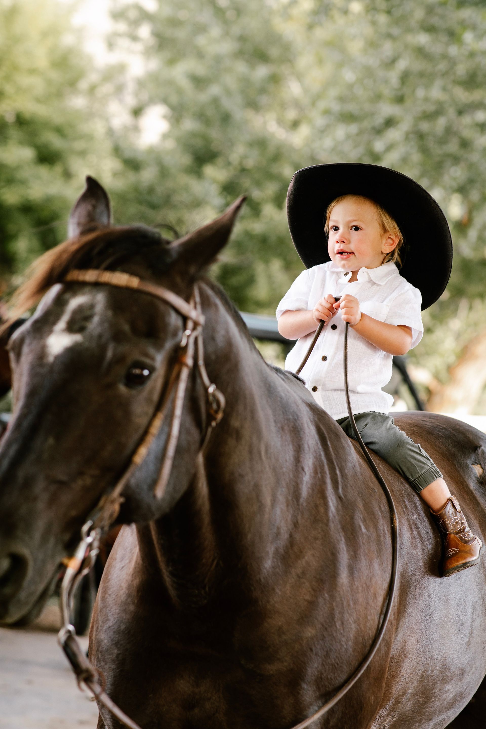Child in a black hat riding a brown horse outdoors