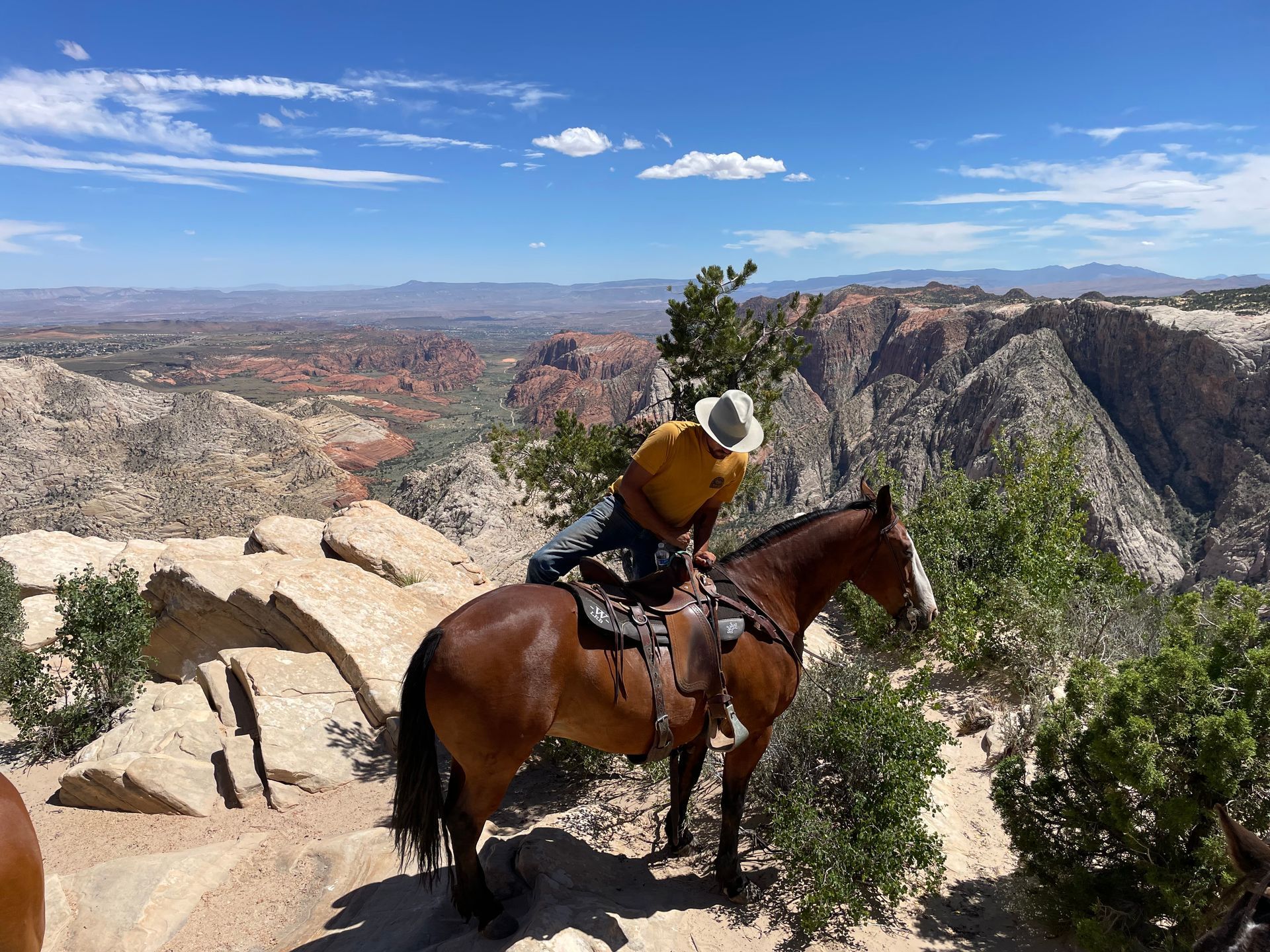 Rider on a horse overlooking a rocky canyon under a blue sky