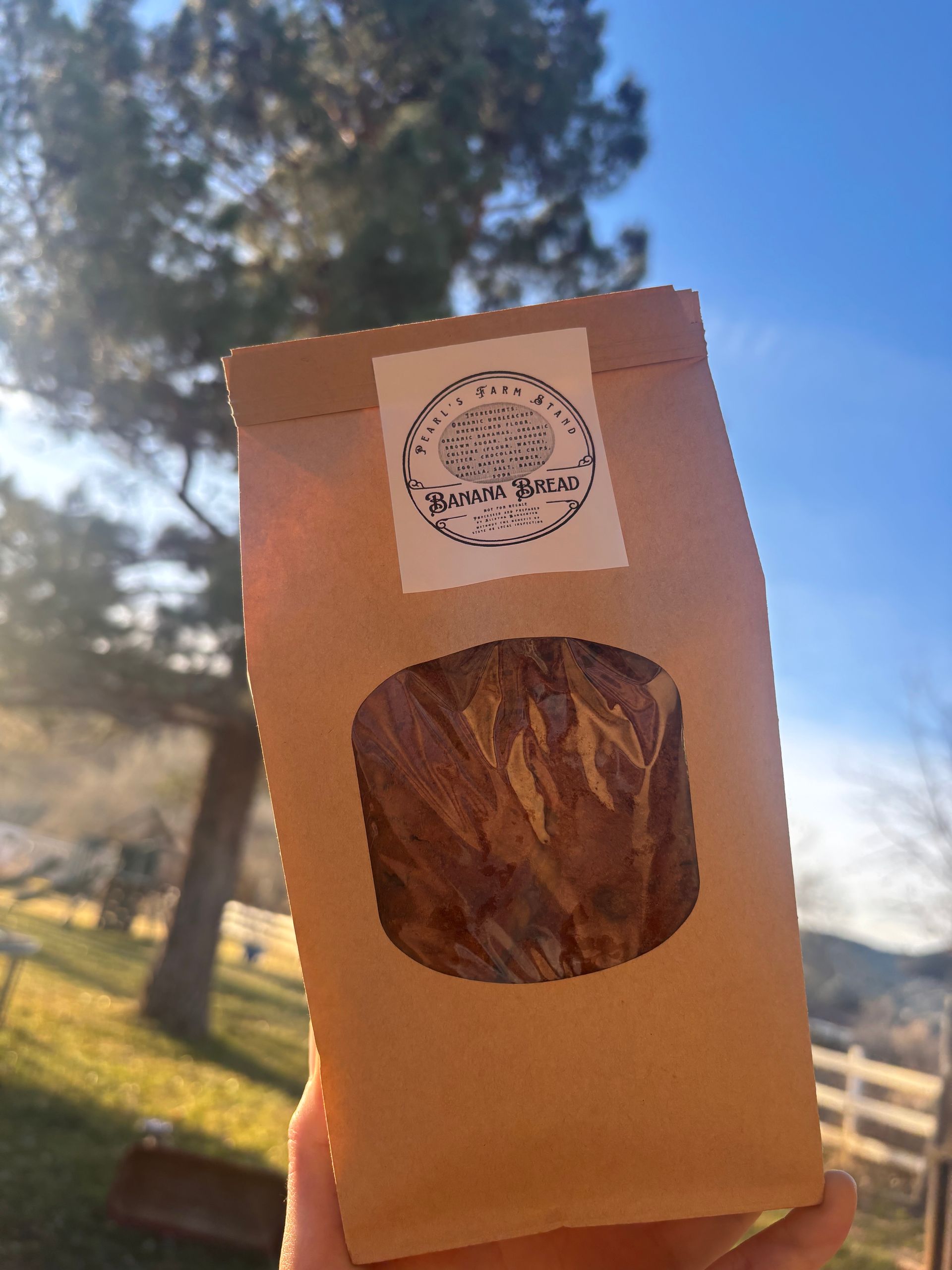 Hand holding a brown paper bag with a round logo sticker, outdoors in sunlight with trees in the background