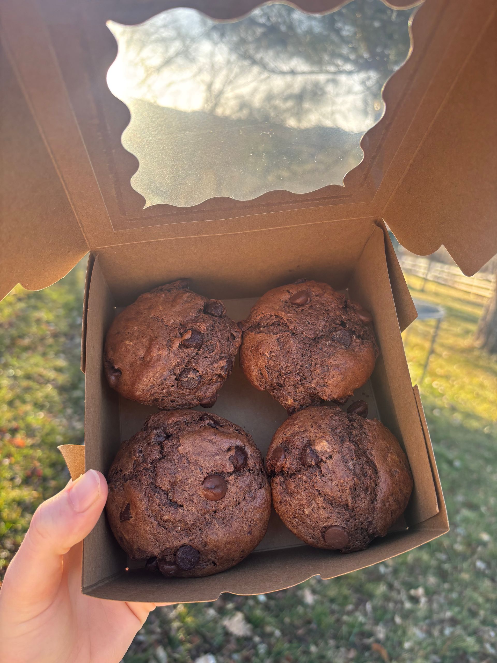 Hand holding a small cardboard box with four chocolate muffins outdoors