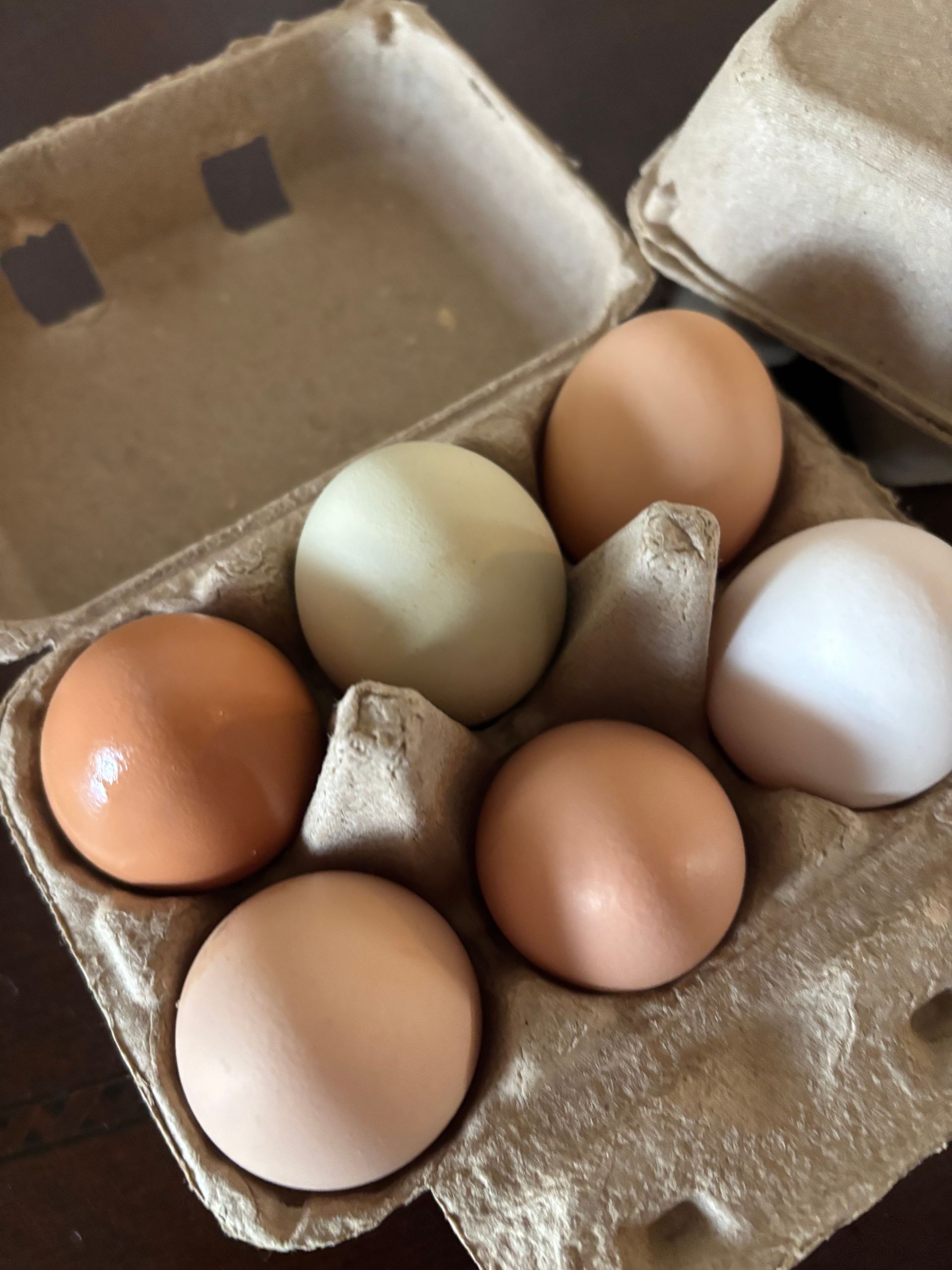 Six eggs in a cardboard carton, with white, brown, tan, and pale green shells.
