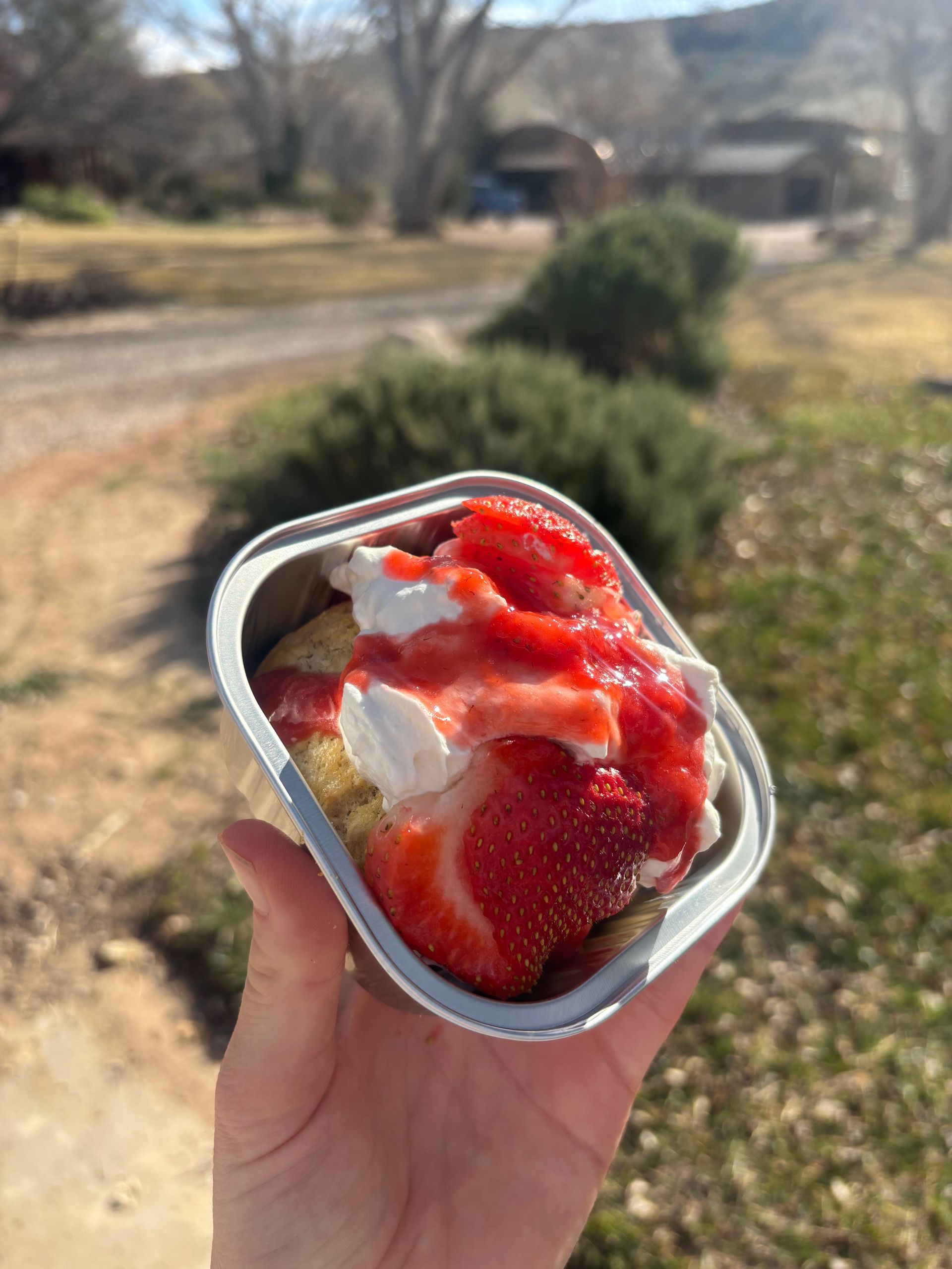 Hand holding a cup of sliced strawberries topped with whipped cream outdoors on a sunny day