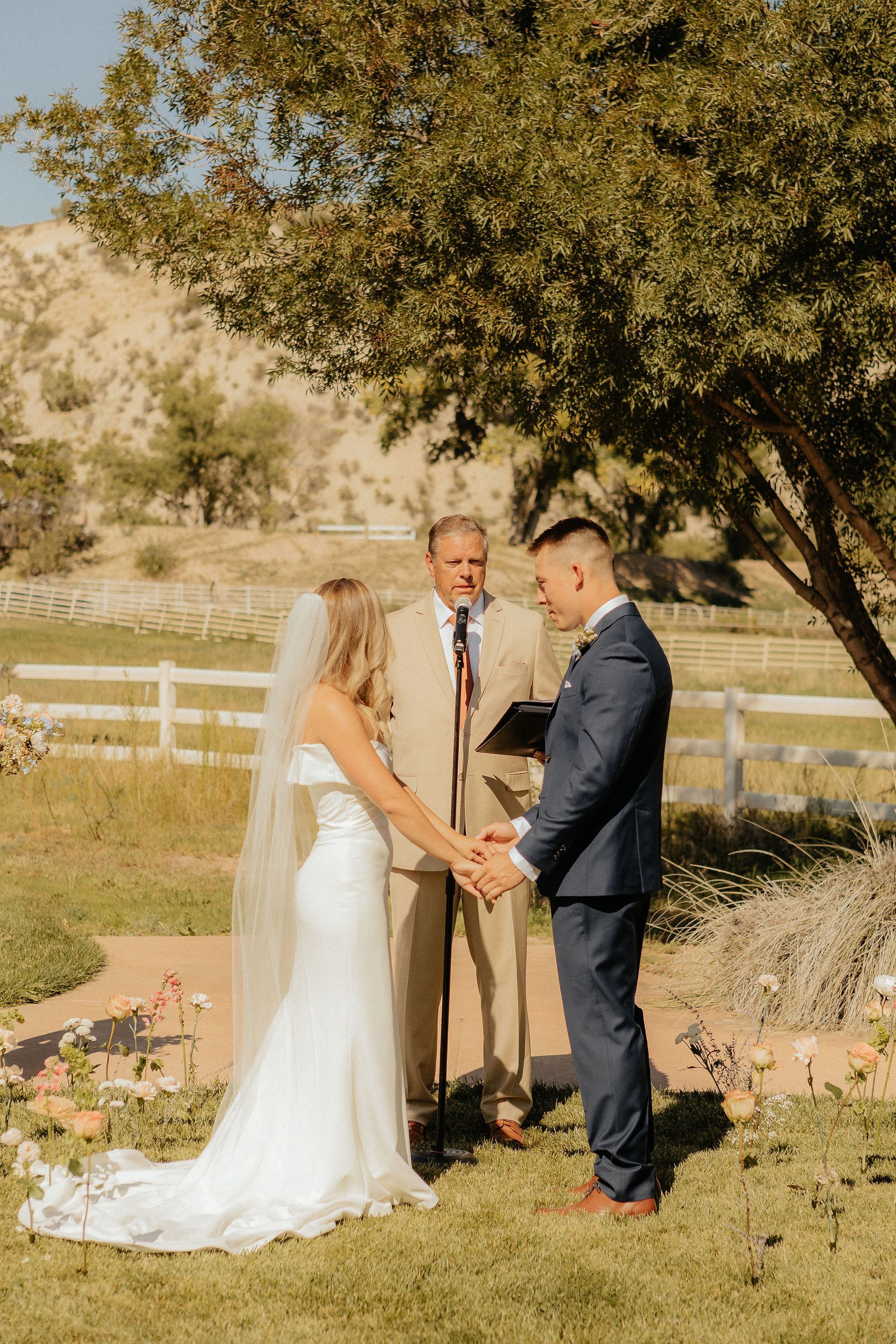 Bride and groom exchanging vows outdoors with an officiant under a tree, wedding arch in the background
