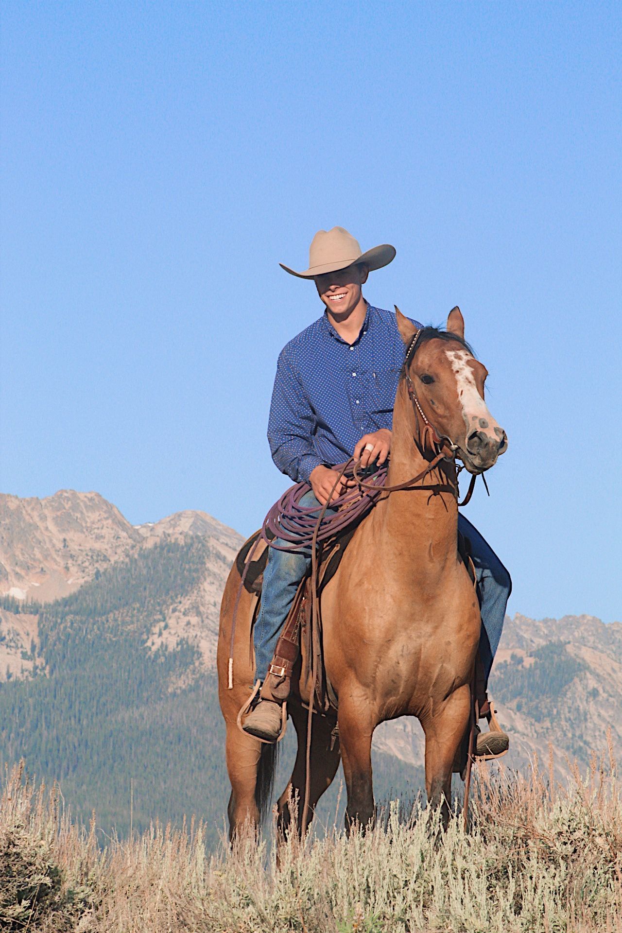 Cowboy in a hat riding a brown horse in a grassy mountain landscape under a clear blue sky