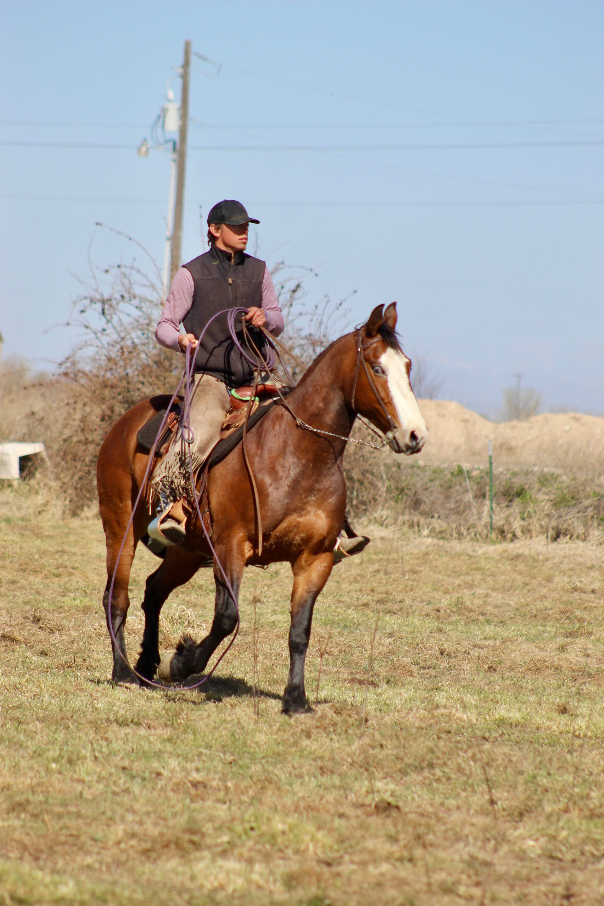 Cowboy riding a chestnut horse in a grassy field under a clear blue sky.