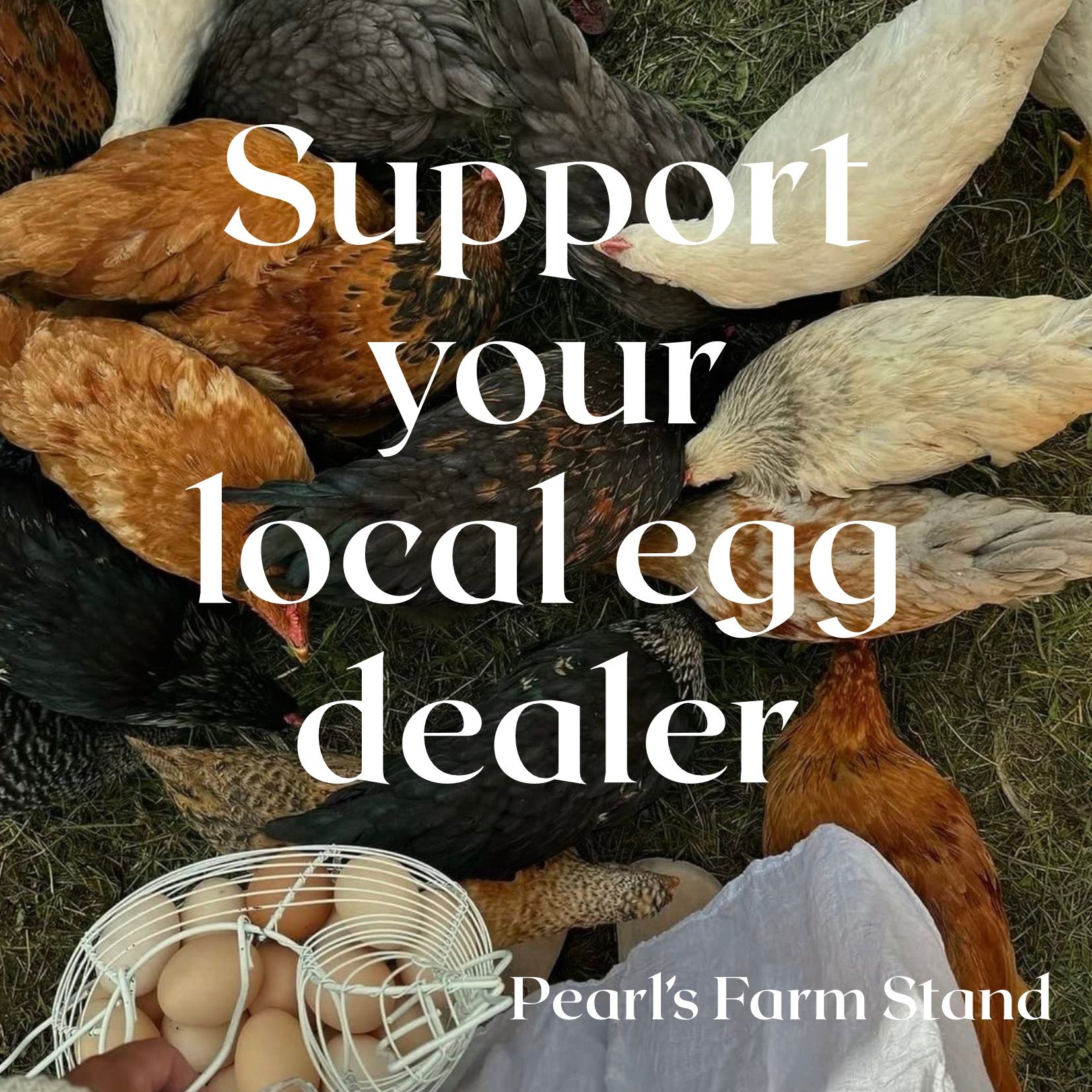 Support your local egg dealer, with eggs and a basket at Pearl’s Farm Stand.