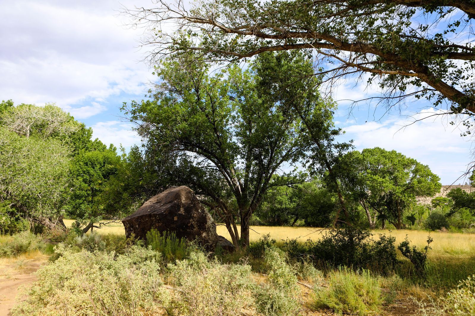 Savanna landscape with scattered trees, dry grass, and a small thatched hut under a cloudy sky
