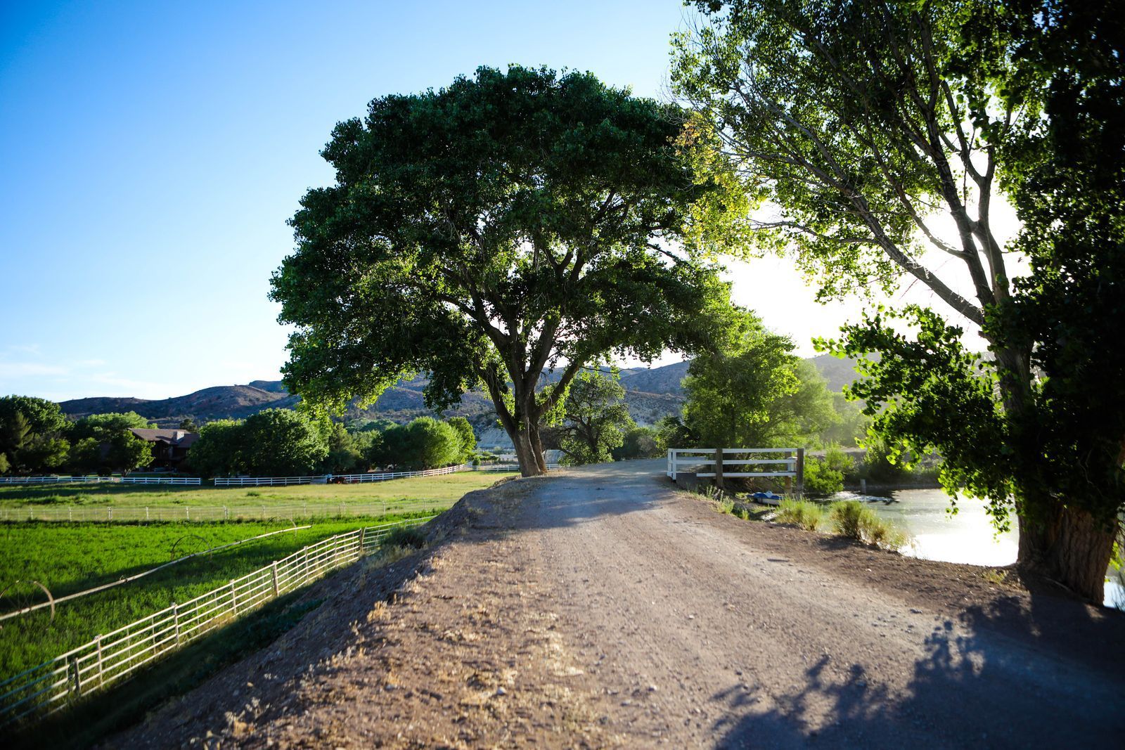 Sunlit dirt path beside trees and a grassy field, with a fence and water in the background