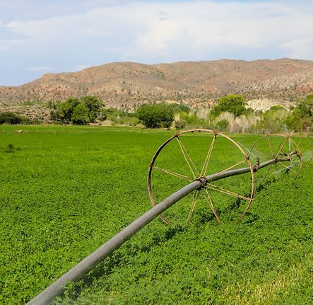 Irrigation sprinkler watering a lush green field with hills in the background