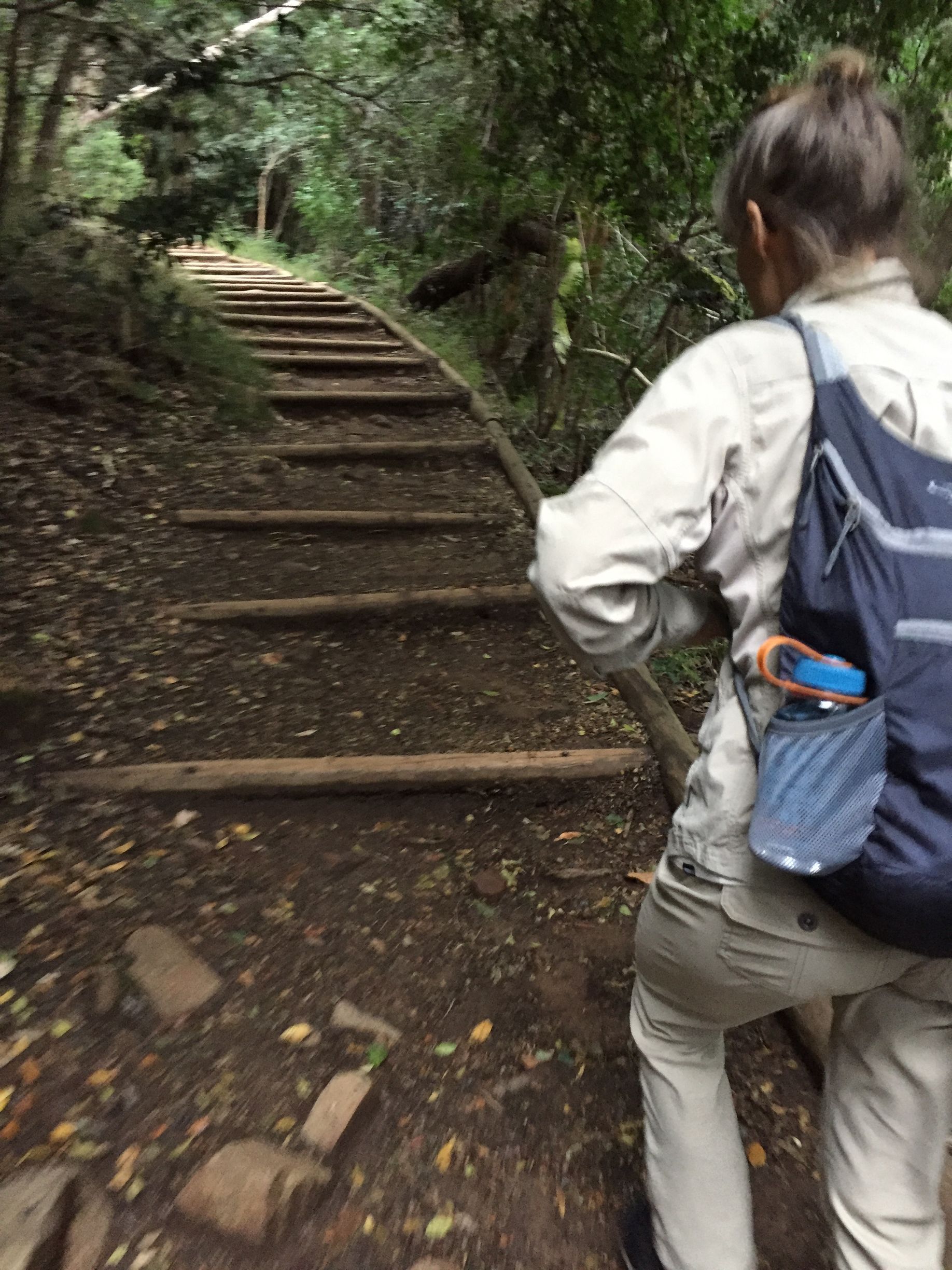 A woman with a backpack is walking up a set of stairs.