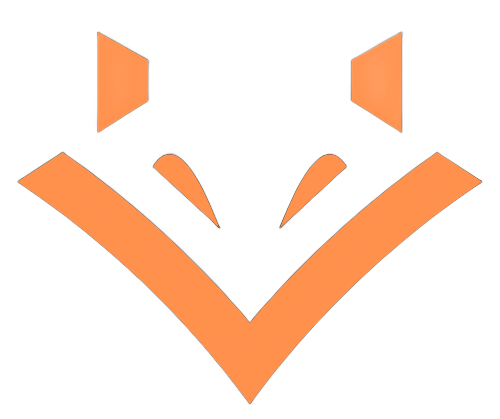 Orange abstract V-shaped logo with mirrored geometric shapes on a white background
