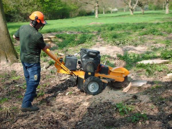 a man is using a stump grinder to remove a tree stump .