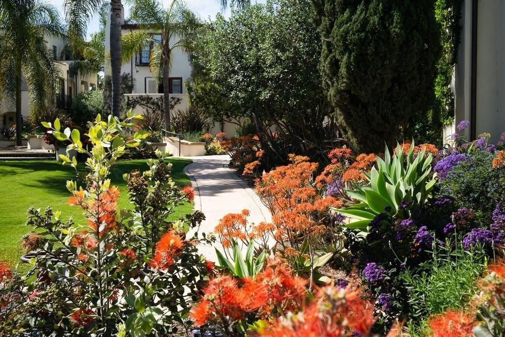 a walkway surrounded by flowers leading to a building
