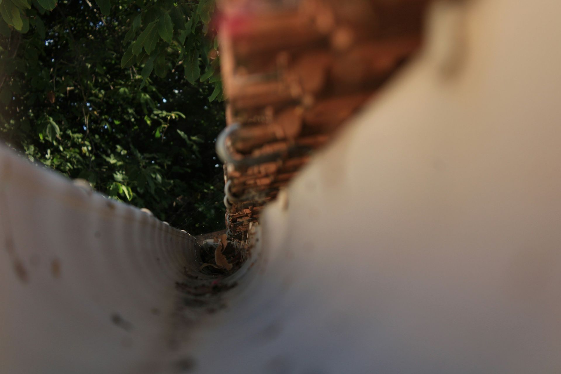 A close up of a person standing next to a fence.
