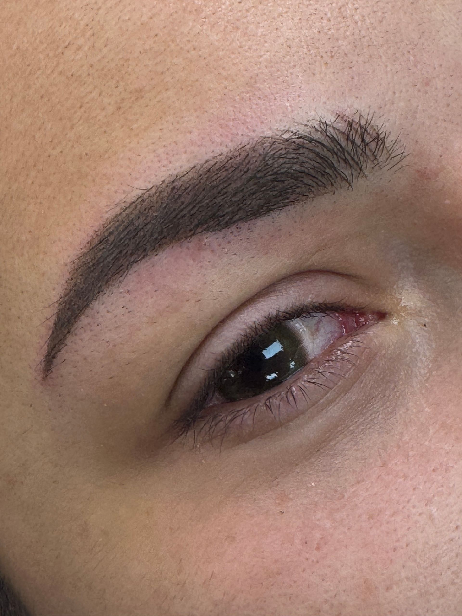 Close-up of a human eye with a thick dark eyebrow on a skin-toned background