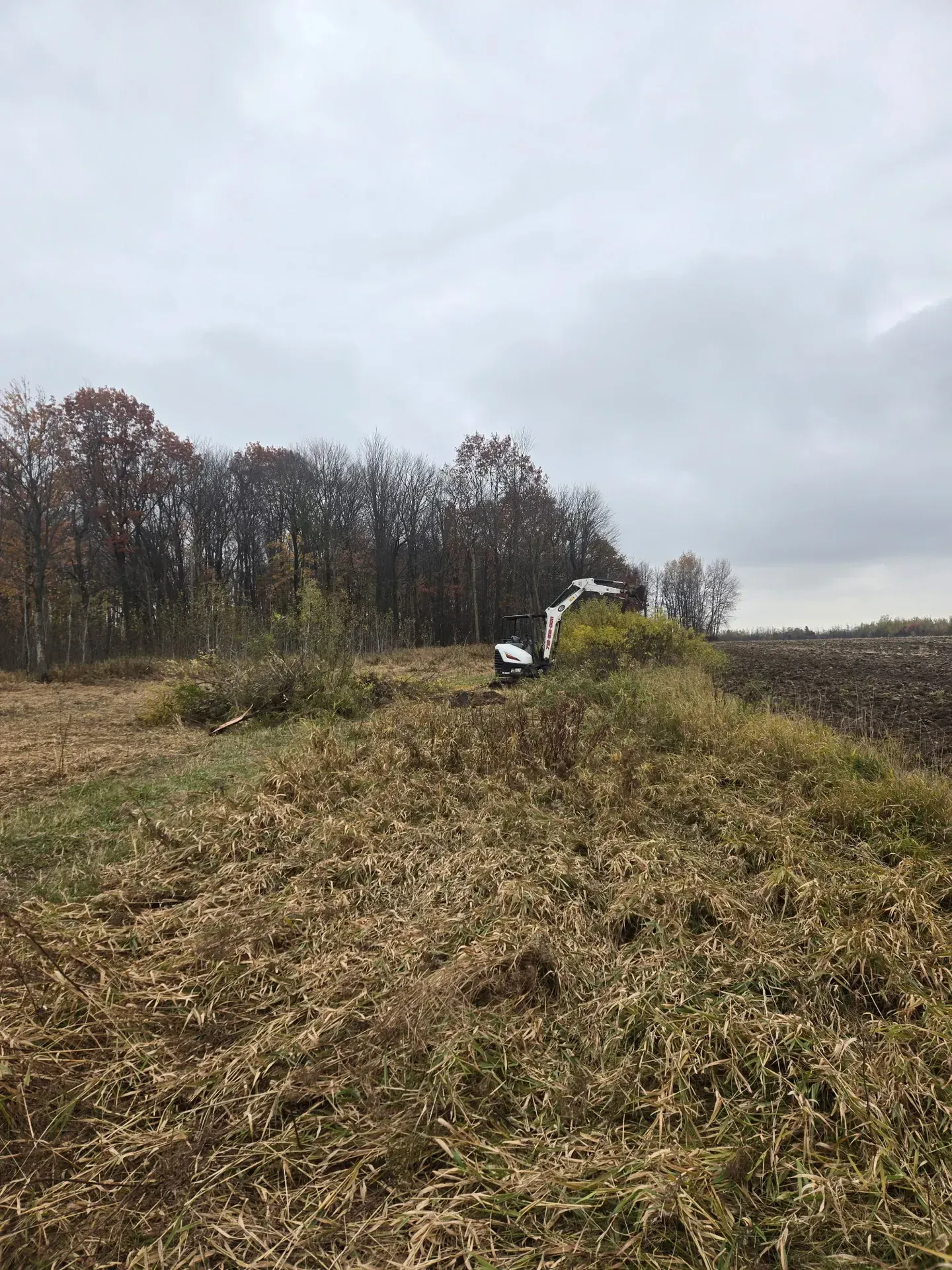 Mini excavator clearing brush along a wooded field edge for a ditching project in Abbotsford, WI
