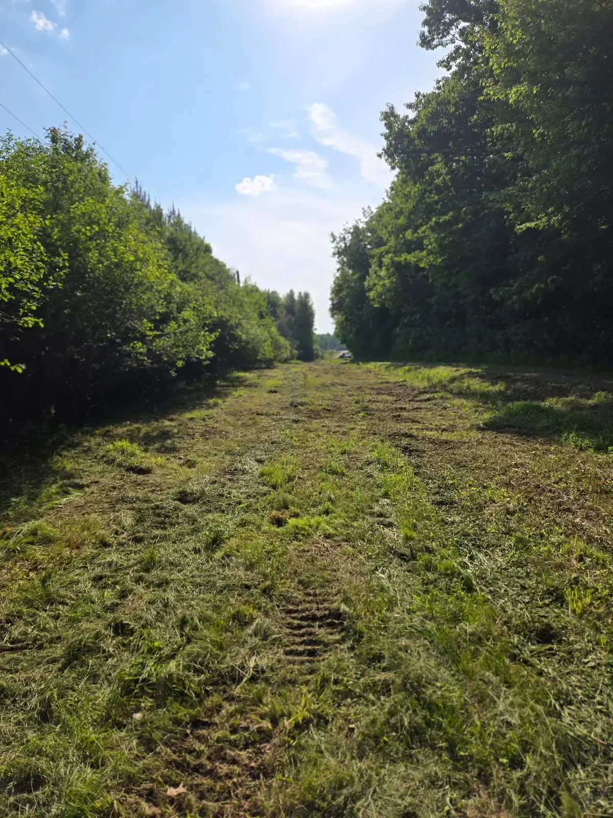 Freshly cleared and mowed trail corridor between dense tree lines beneath an overhead power line near Marshfield, WI