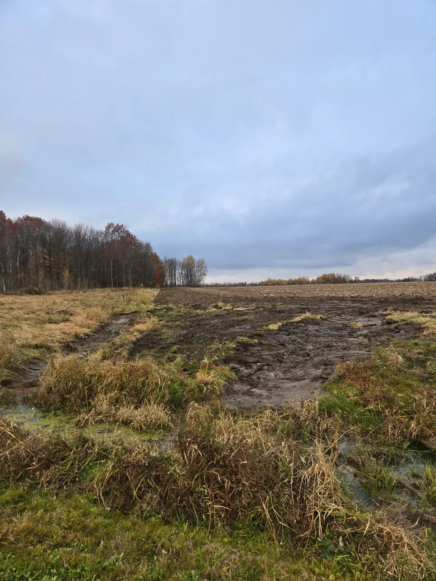 Newly dug drainage ditch and outlet along the edge of a plowed farm field in Abbotsford, WI
