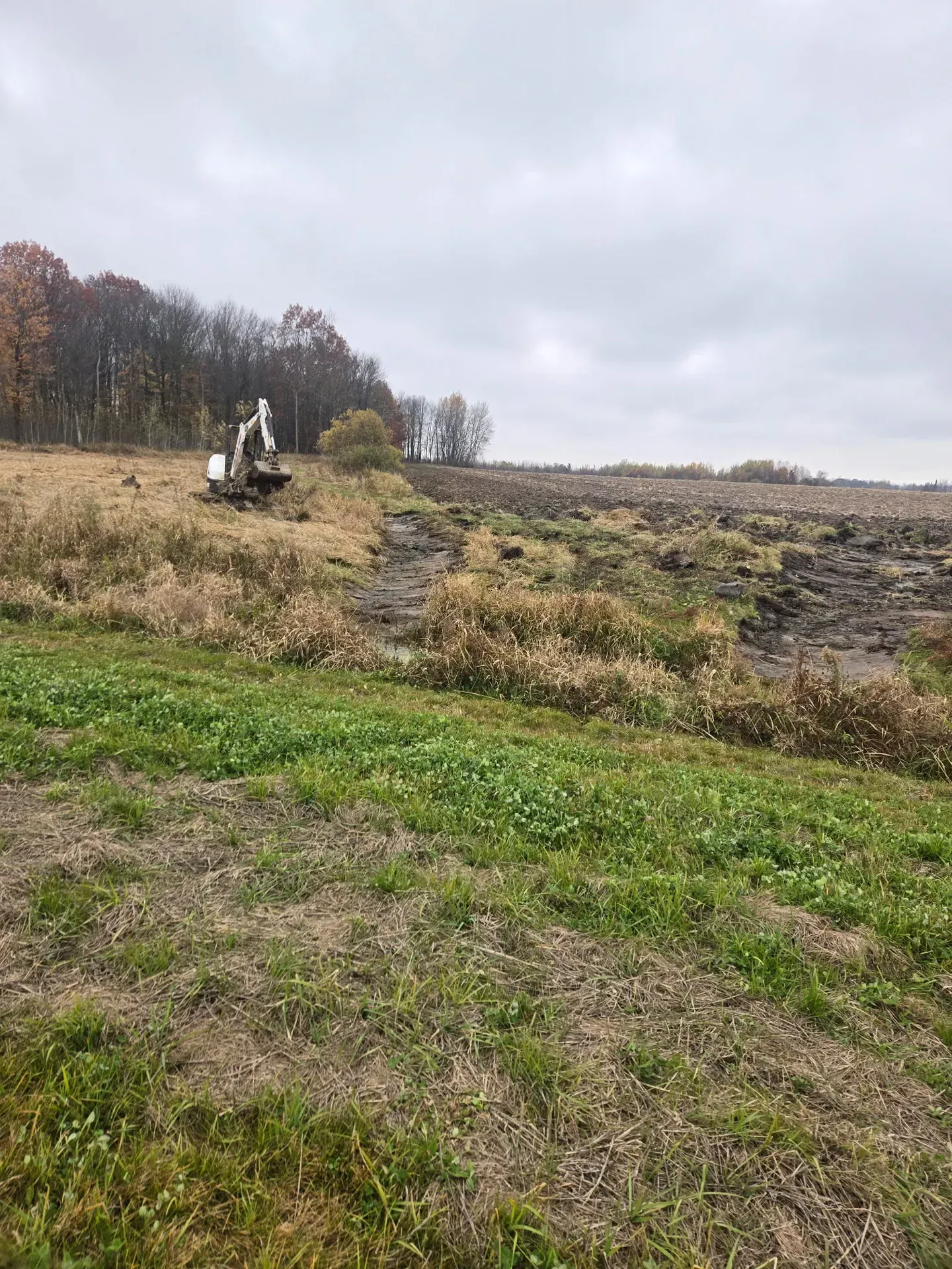 Mini excavator cutting a drainage ditch along a farm field tree line near Abbotsford, WI