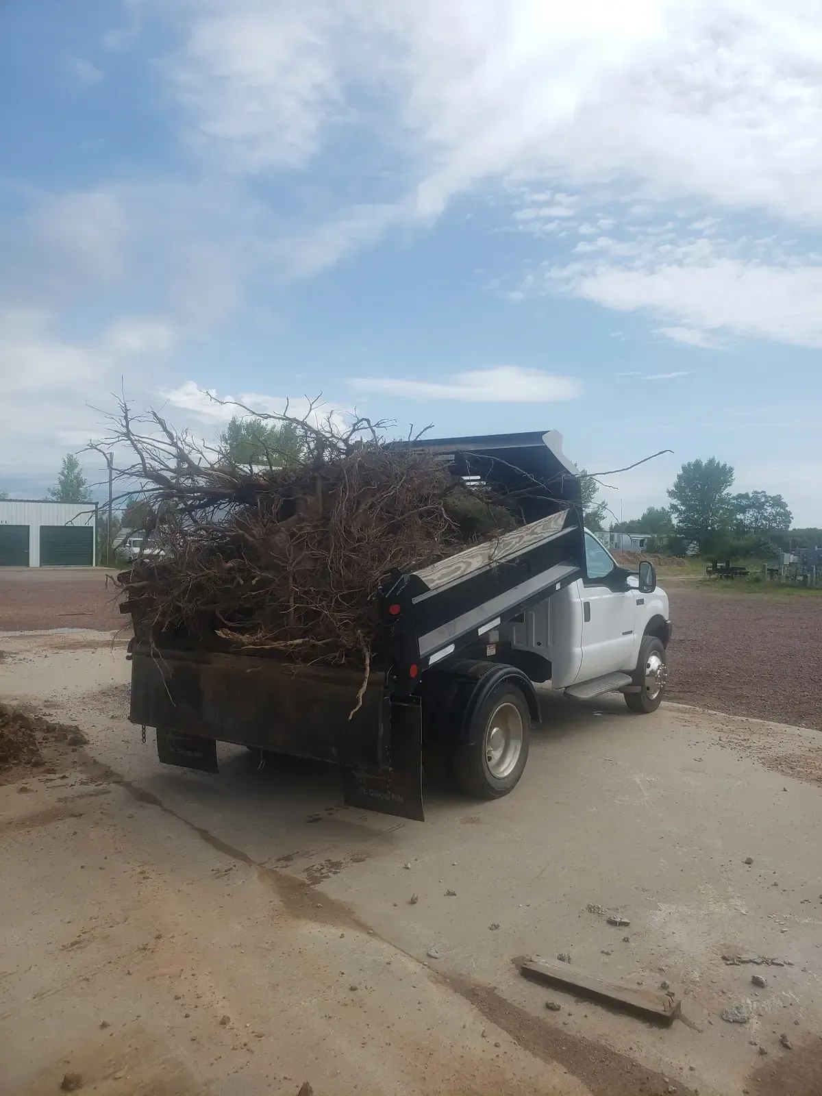 Dump truck loaded with pulled stumps and root masses for haul-away after residential stump removal near Marshfield, WI
