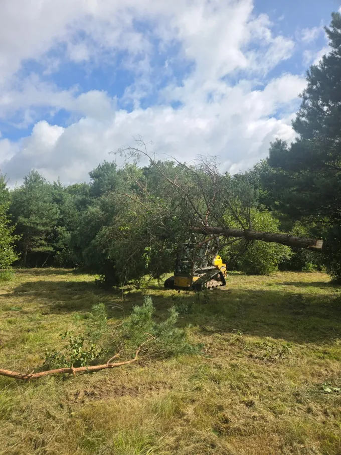 Forestry mulcher clearing brush and trees for land clearing – ERE Excavation, Central Wisconsin
