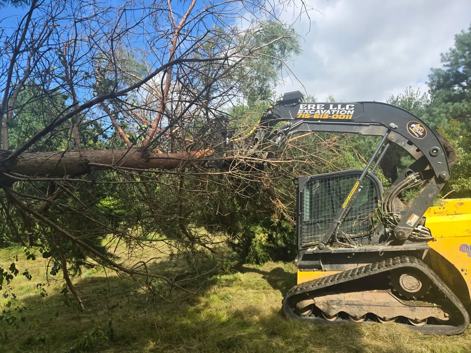 ERE LLC Excavation tracked skid steer with a grapple attachment lifting a felled pine while clearing a septic mound site near Marshfield, WI