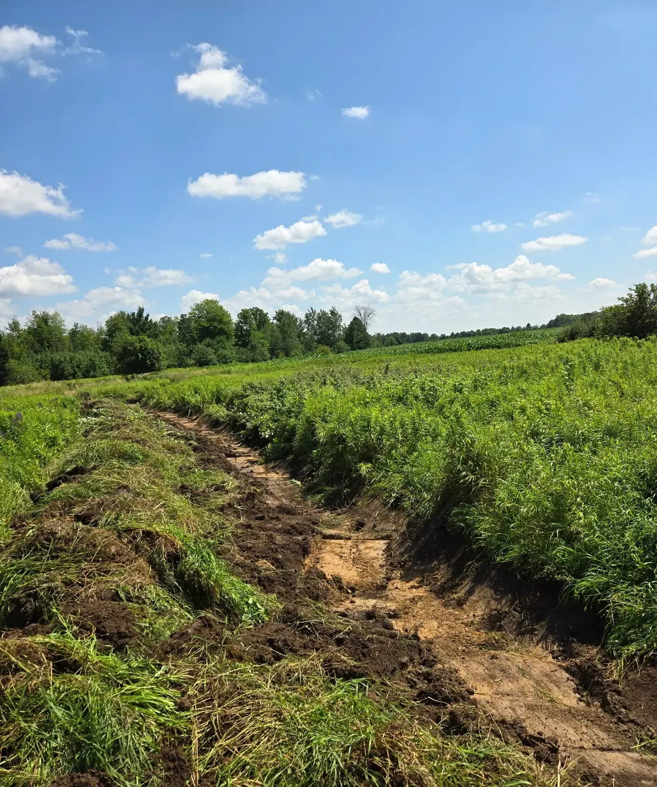 Freshly dug erosion control ditch diverting runoff across a hunting property in Colby, WI